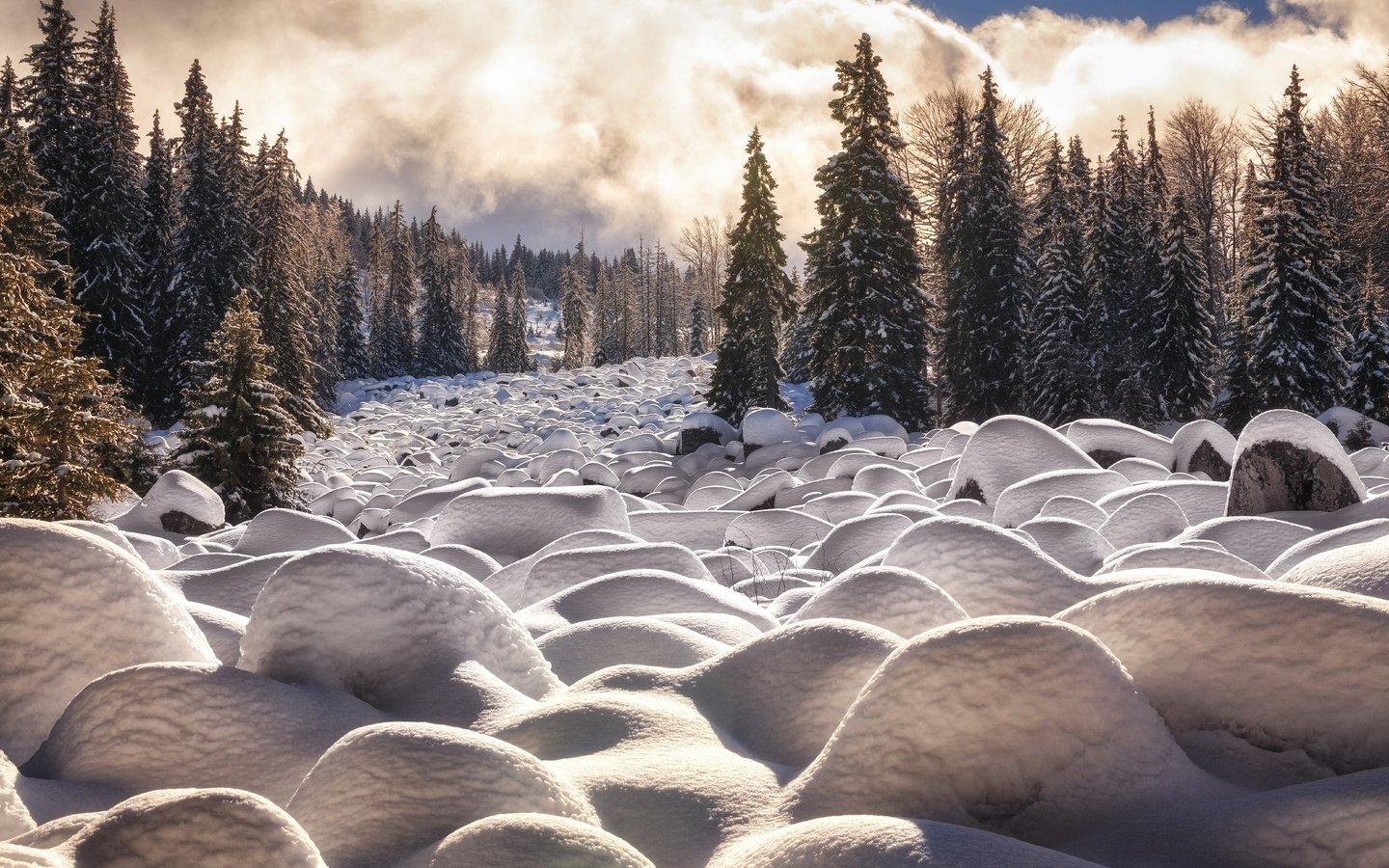 Обои облака, деревья, снег, камни, лес, зима, winter cascade, martin stantchev, clouds, trees, snow, stones, forest, winter разрешение 2048x1365 Загрузить