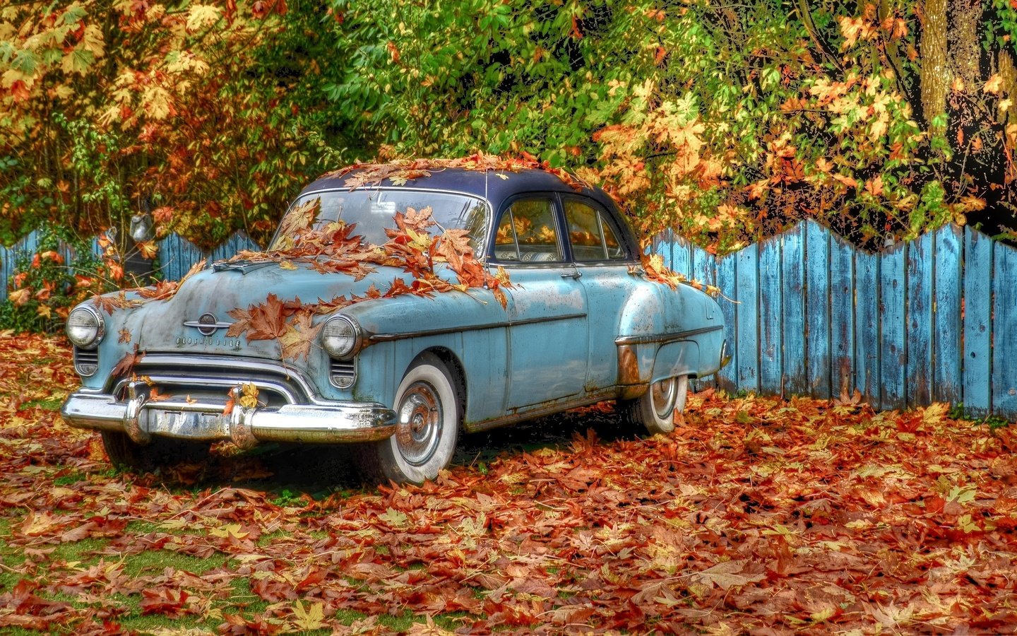 Обои деревья, листва, ретро, забор, автомобиль, oldsmobile, trees, foliage, retro, the fence, car разрешение 2560x1600 Загрузить