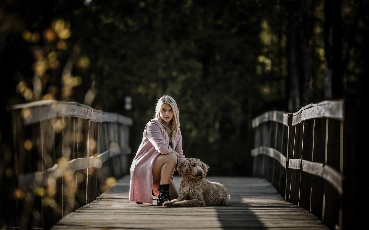 Обои девушка, настроение, блондинка, мост, собака, girl, mood, blonde, bridge, dog разрешение 4497x2821 Загрузить