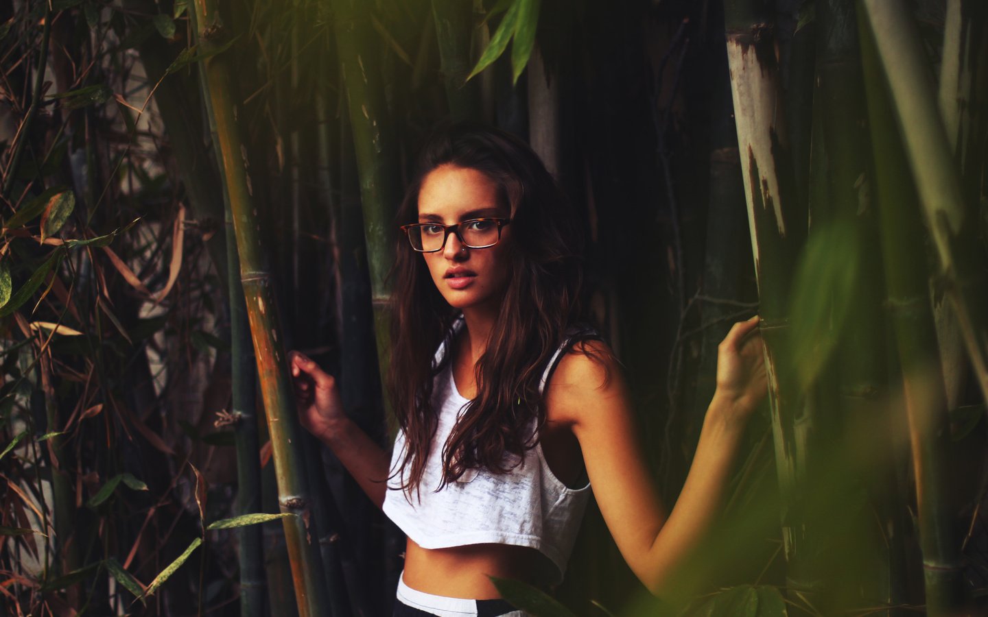 Обои девушка, портрет, брюнетка, очки, бамбук, модель, волосы, girl, portrait, brunette, glasses, bamboo, model, hair разрешение 5184x3456 Загрузить