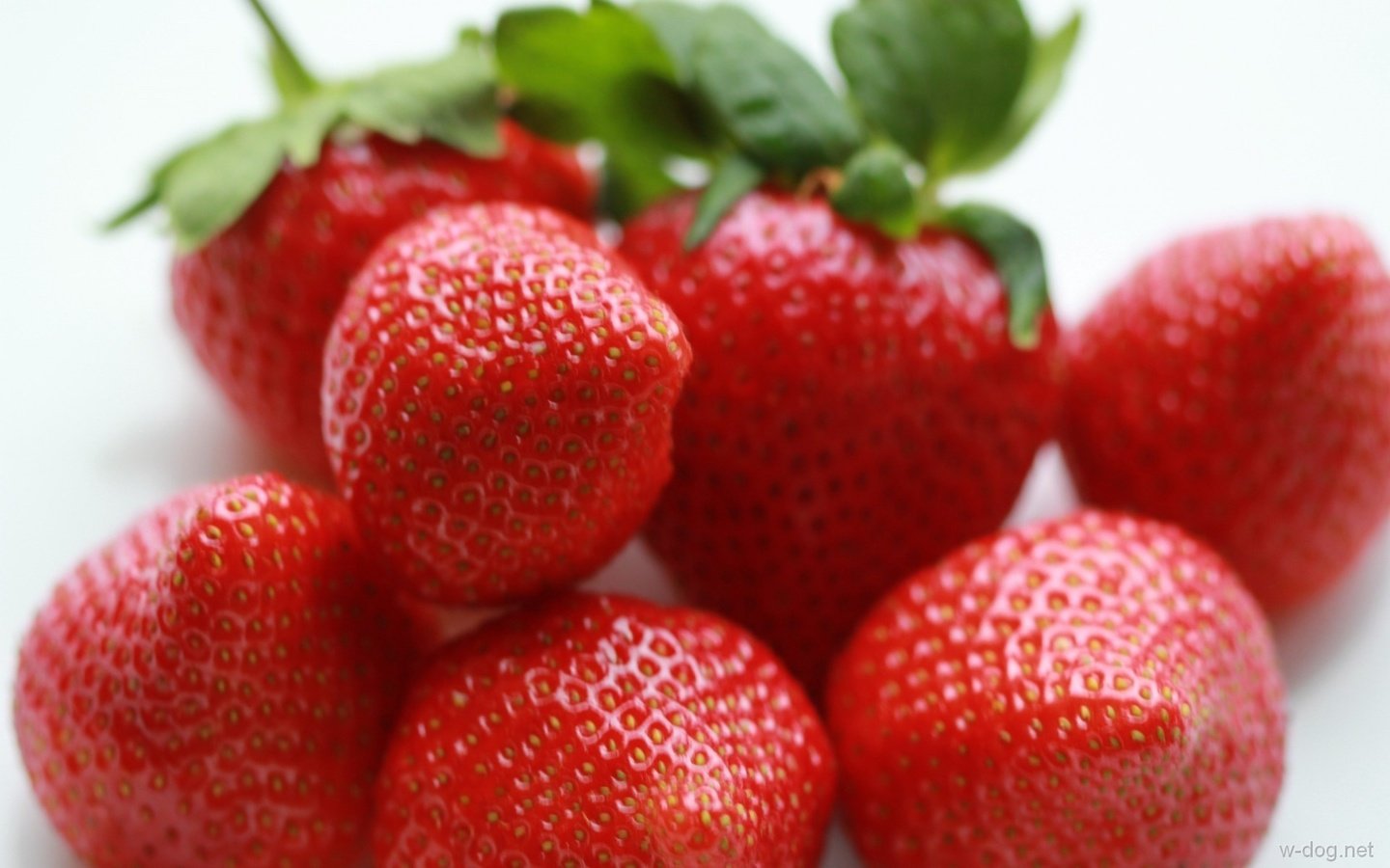 Обои макро, красная, клубника, спелая, ягоды, сладкая, вкусная, macro, red, strawberry, ripe, berries, sweet, delicious разрешение 1920x1200 Загрузить