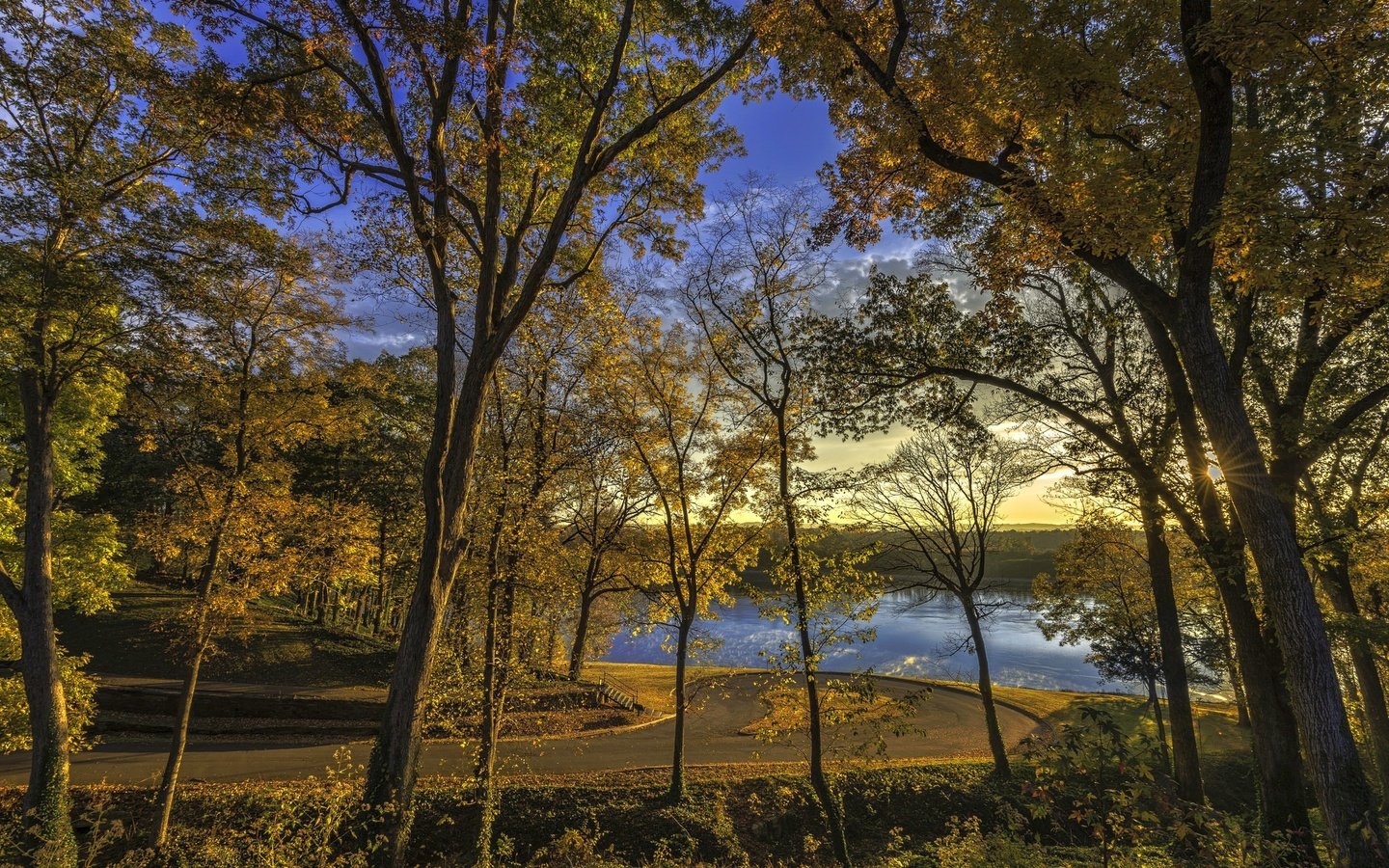 Обои дорога, деревья, река, парк, road, trees, river, park разрешение 2048x1367 Загрузить