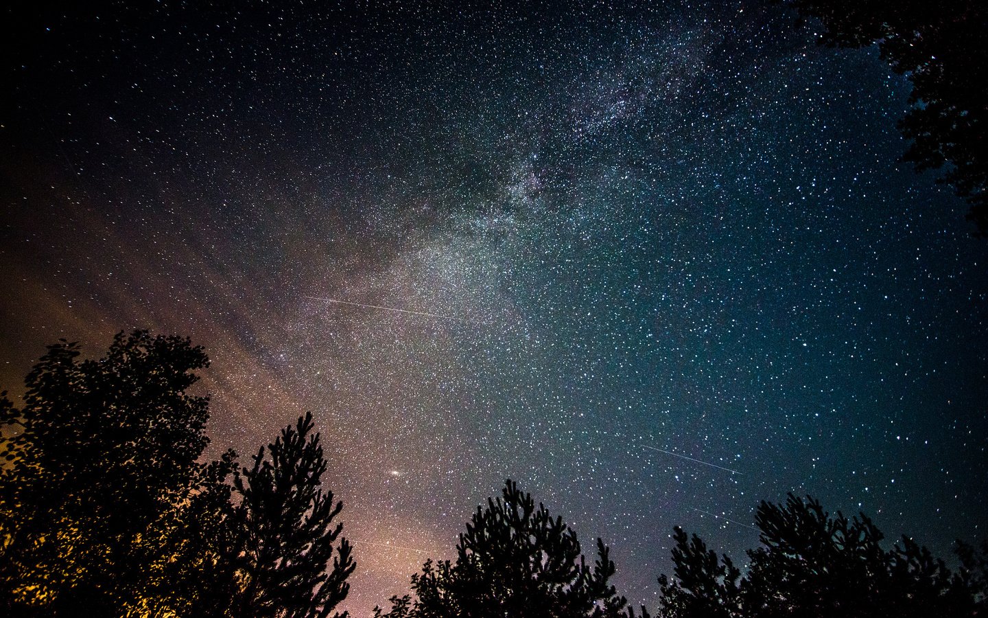 Обои ночь, деревья, космос, звезды, млечный путь, night, trees, space, stars, the milky way разрешение 2048x1367 Загрузить