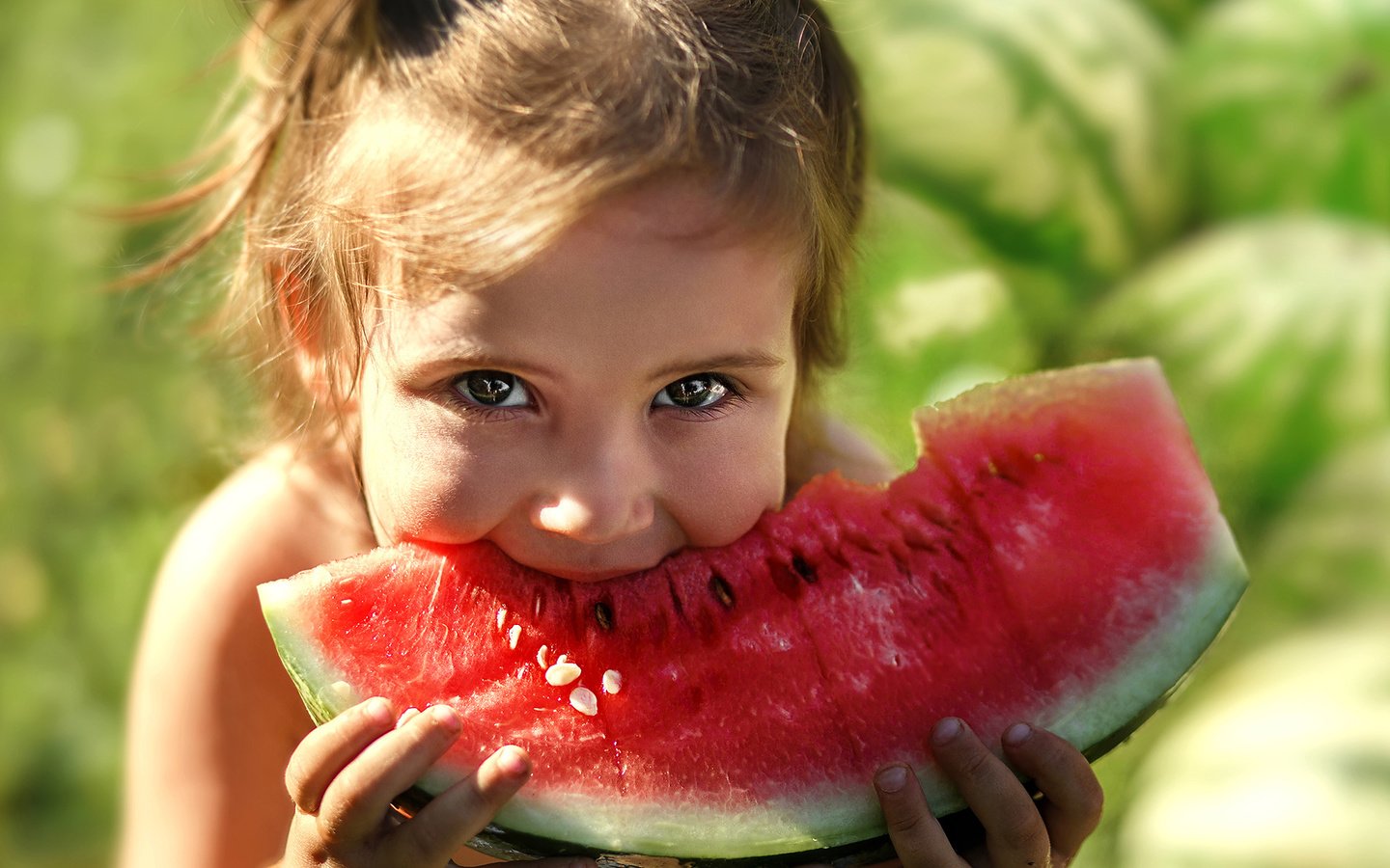 Обои глаза, девочка, арбуз, кушает, eyes, girl, watermelon, eats разрешение 1920x1200 Загрузить