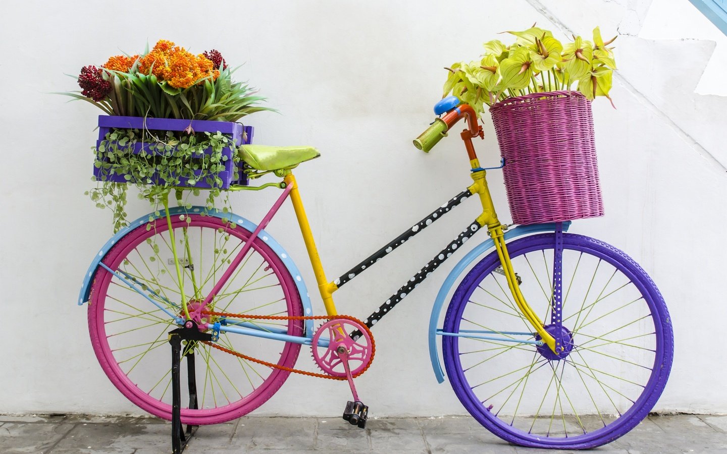 Обои цветы, ретро, букет, велосипед,  цветы, флористика, flowers, retro, bouquet, bike, floral разрешение 2880x1908 Загрузить