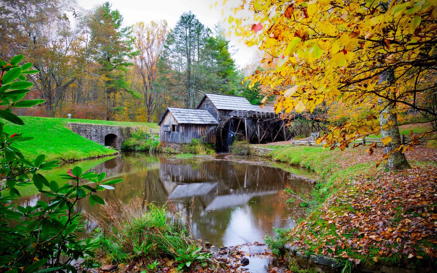 Обои деревья, река, пейзаж, осень, мельница, штат виргиния, mabry mill, trees, river, landscape, autumn, mill, virginia разрешение 2048x1366 Загрузить