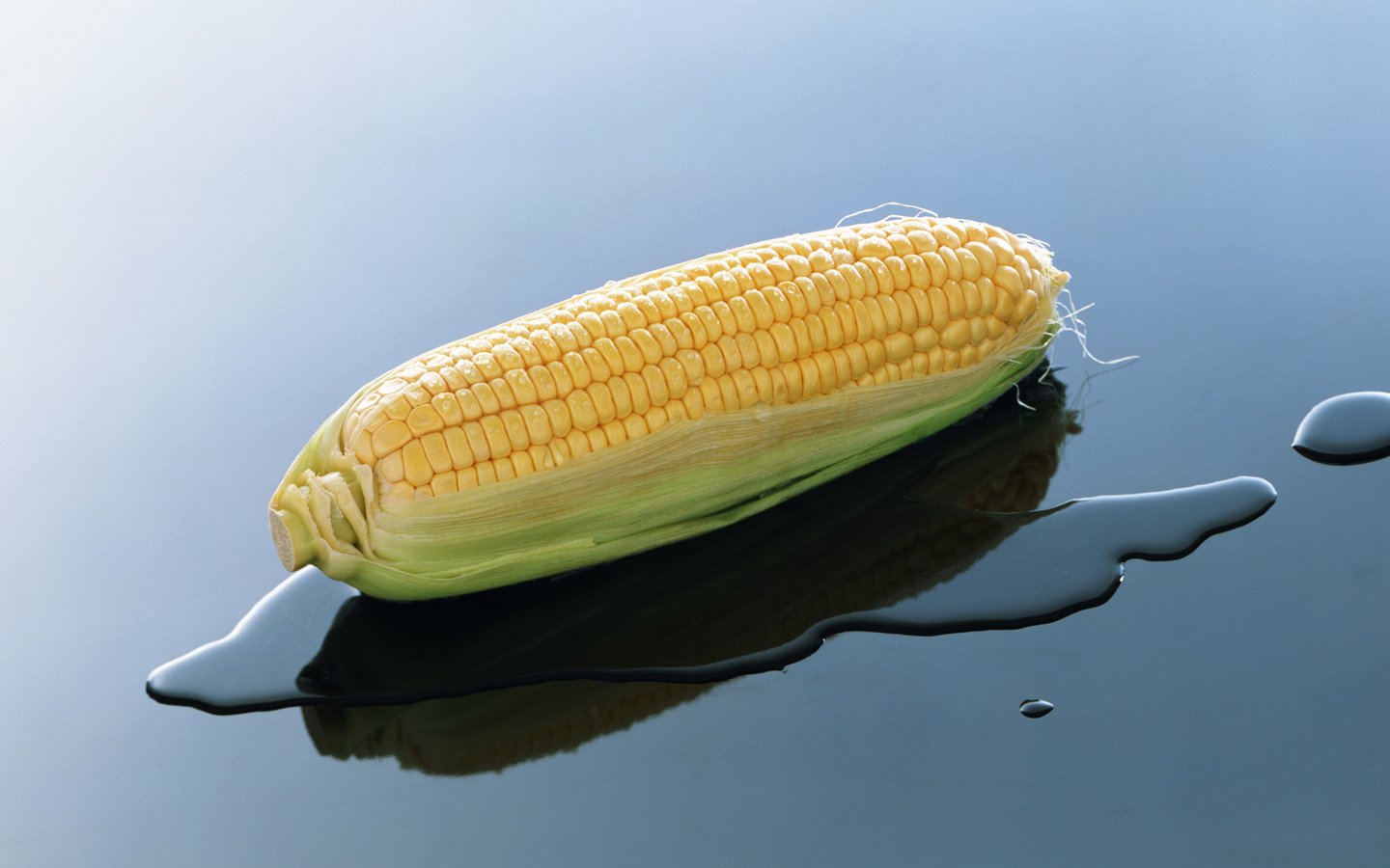 Обои вода, природа, кукуруза, початок, water, nature, corn, the cob разрешение 1920x1080 Загрузить