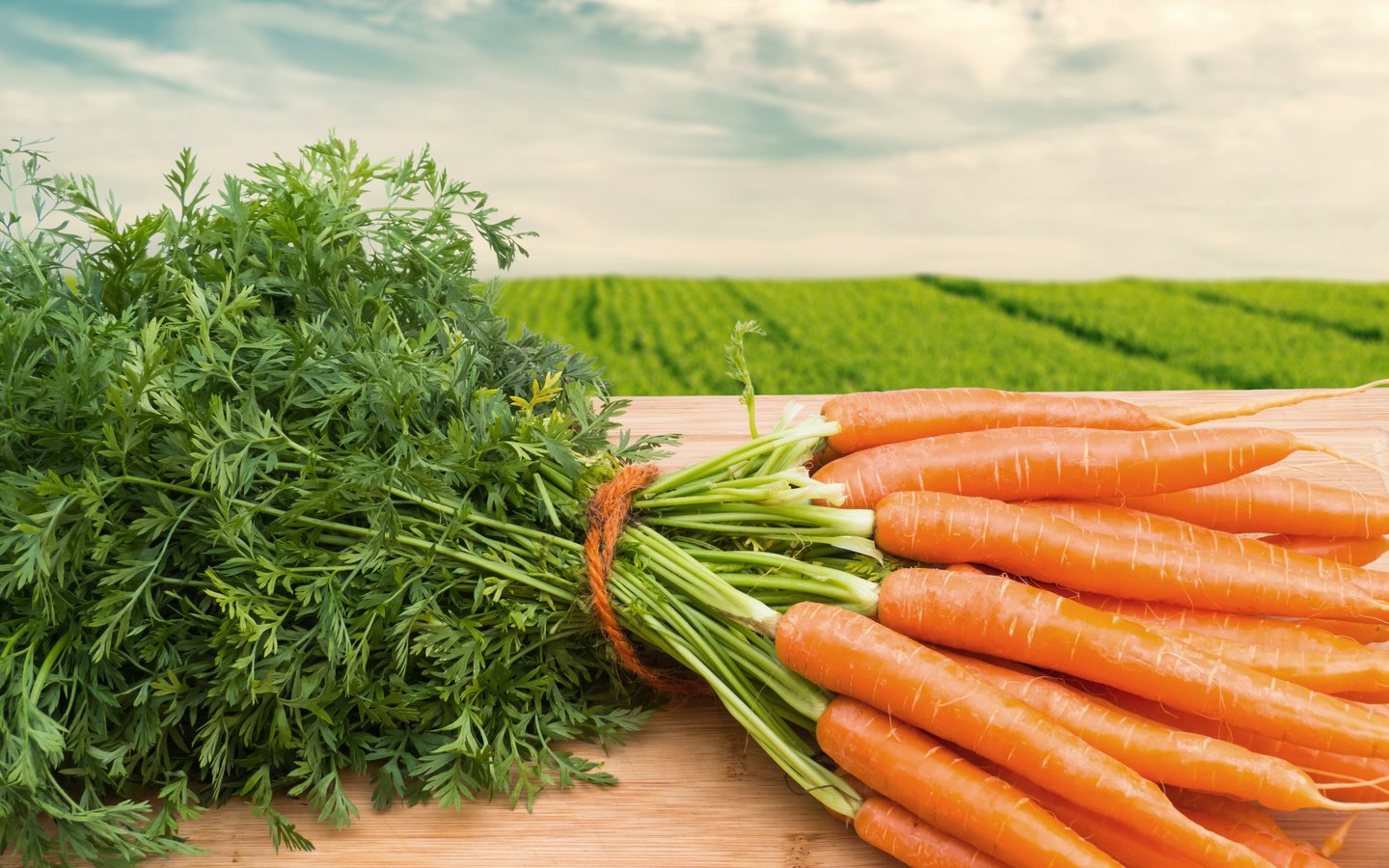 Обои морковь, морковное поле, young carrots, carrots, carrot field разрешение 4320x2880 Загрузить