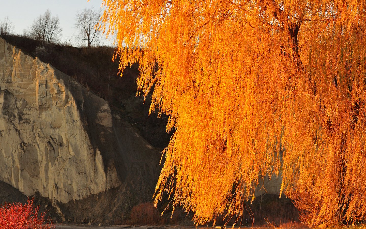 Обои небо, дерево, скала, осень, the sky, tree, rock, autumn разрешение 2048x1360 Загрузить