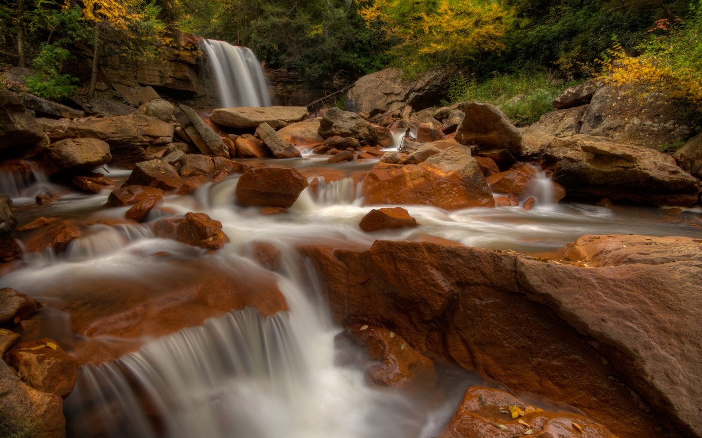 Обои река, камни, водопад, осень, douglas falls, blackwater river, водопад дуглас, река блэкуотер, западная виргиния, river, stones, waterfall, autumn, falls douglas, the river blackwater, west virginia разрешение 2880x1925 Загрузить