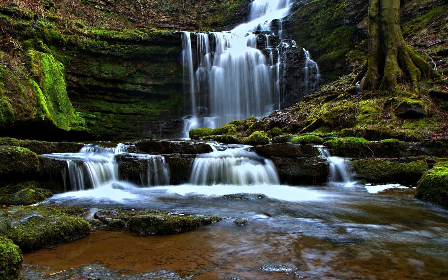 Обои водопад, англия, каскад, северный йоркшир, yorkshire dales, йоркшир-дейлс, scaleber force falls, scaleber force, waterfall, england, cascade, north yorkshire, the yorkshire dales разрешение 2048x1293 Загрузить