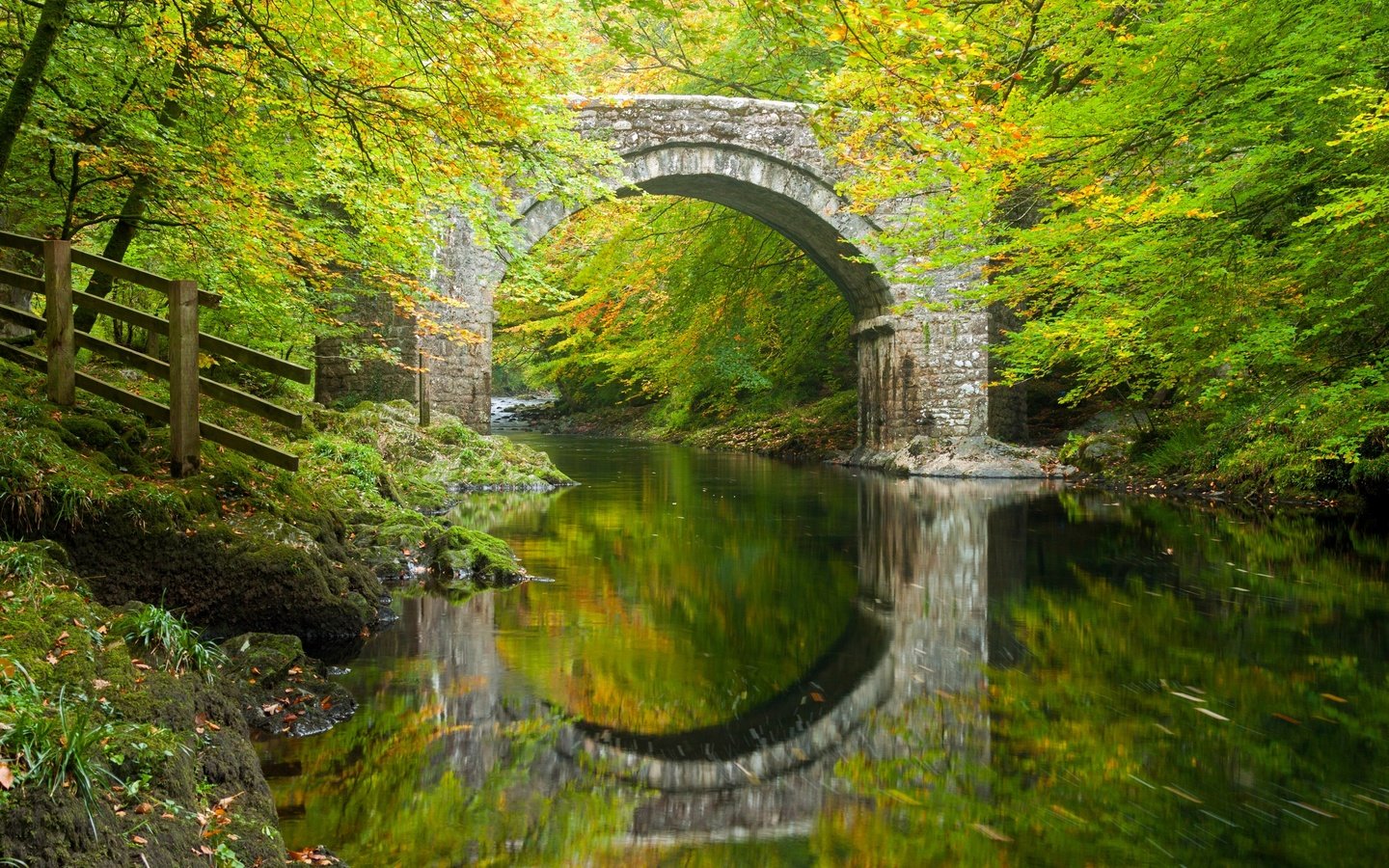 Обои деревья, holne bridge, river dart, река, холн-бридж, лес, река дарт, отражение, дартмур, мост, девон, осень, англия, арка, trees, river, holn bridge, forest, the river dart, reflection, dartmoor, bridge, devon, autumn, england, arch разрешение 2880x1856 Загрузить