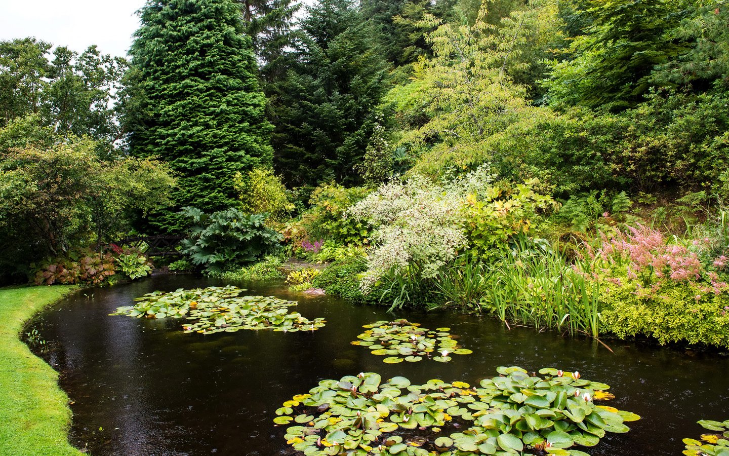 Обои деревья, парк, кусты, пруд, шотландия, attadale gardens, strathcarron, trees, park, the bushes, pond, scotland разрешение 3005x2000 Загрузить