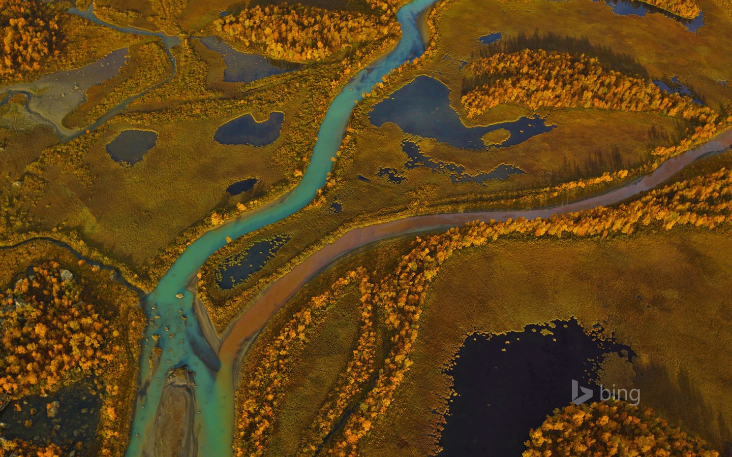 Обои деревья, река, панорама, краски, осень, швеция, sarek national park, trees, river, panorama, paint, autumn, sweden разрешение 1920x1200 Загрузить