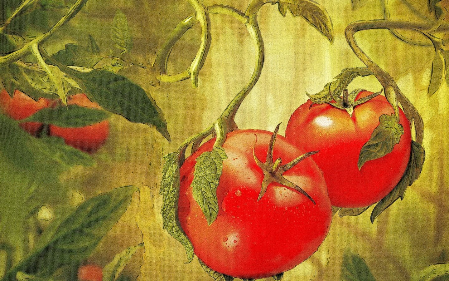 Обои овощи, живопись, помидоры, vegetables, painting, tomatoes разрешение 2880x1920 Загрузить