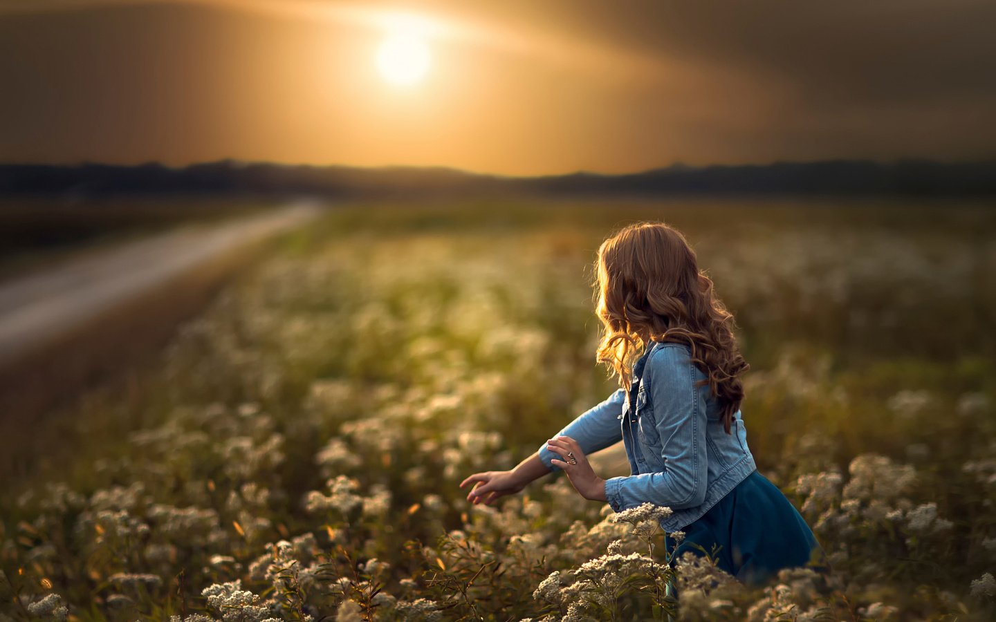 Обои дорога, цветы, солнце, девушка, поле, road, flowers, the sun, girl, field разрешение 2048x1829 Загрузить