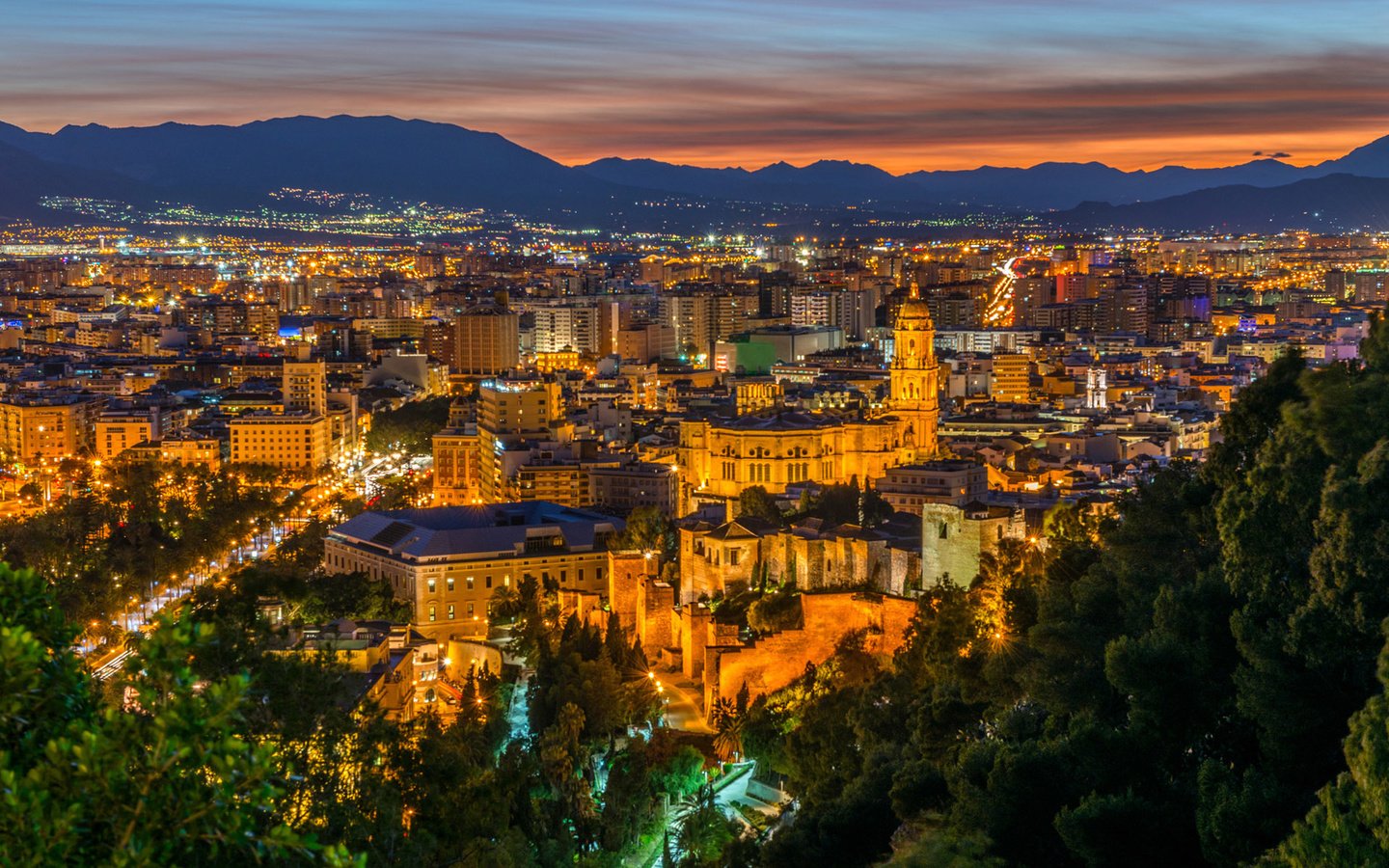 Обои ночь, огни, город, испания, малага, night, lights, the city, spain, malaga разрешение 1920x1200 Загрузить