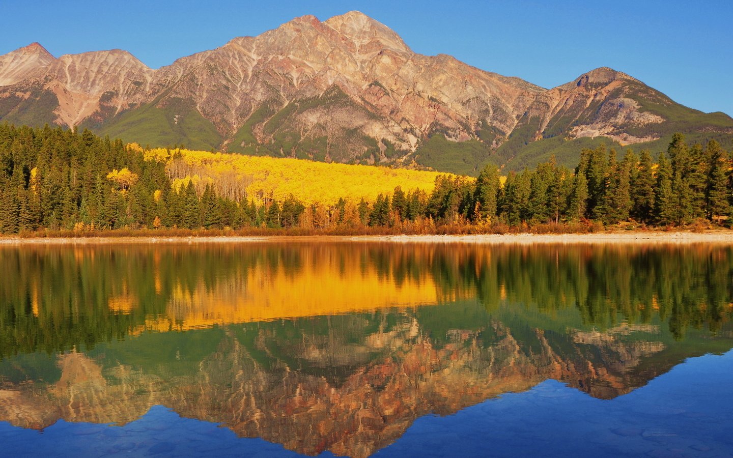 Обои озеро, рatricia lake, canadia, горы, берег, лес, отражение, осень, канада, национальный парк банф, lake, mountains, shore, forest, reflection, autumn, canada, banff national park разрешение 1920x1280 Загрузить