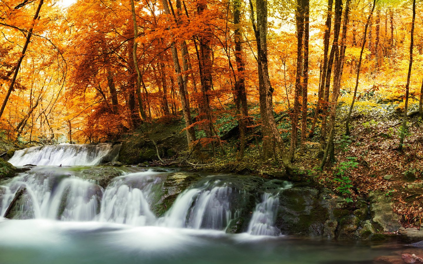 Обои деревья, лес, листья, ручей, водопад, осень, желтые, trees, forest, leaves, stream, waterfall, autumn, yellow разрешение 3400x2000 Загрузить