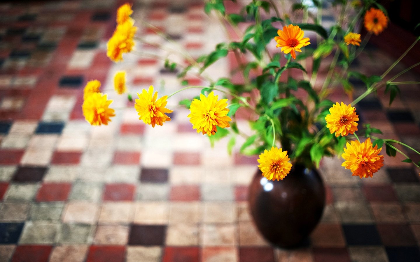 Обои цветы, лепестки, ваза, желтые, flowers, petals, vase, yellow разрешение 2048x1363 Загрузить
