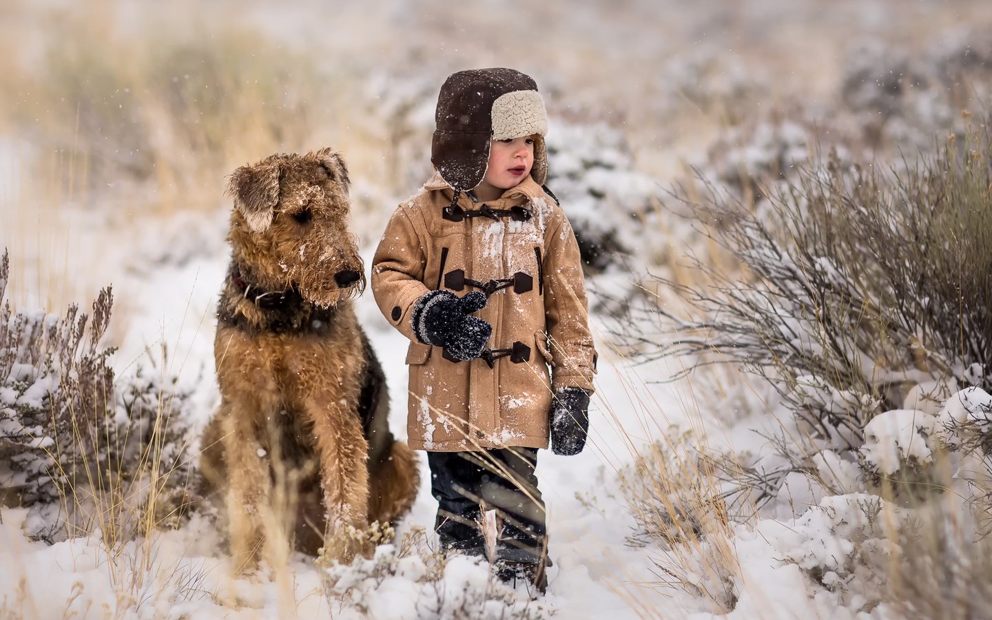 Обои снег, собака, мальчик, друзья, snow, dog, boy, friends разрешение 2048x1467 Загрузить