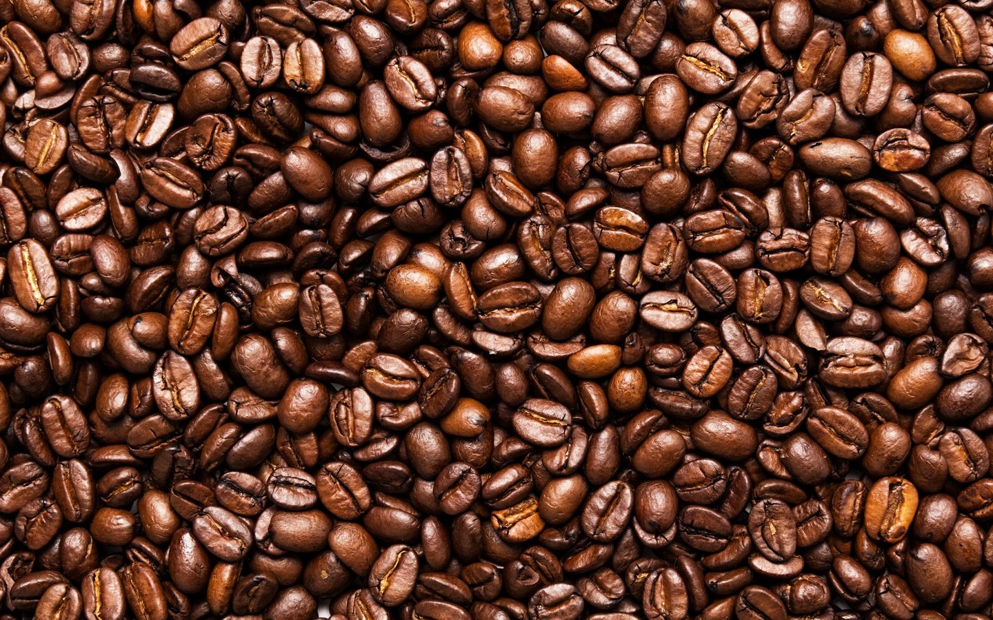 Обои зерна, кофе, семена, toasted, grain, coffee, seeds разрешение 2880x1920 Загрузить