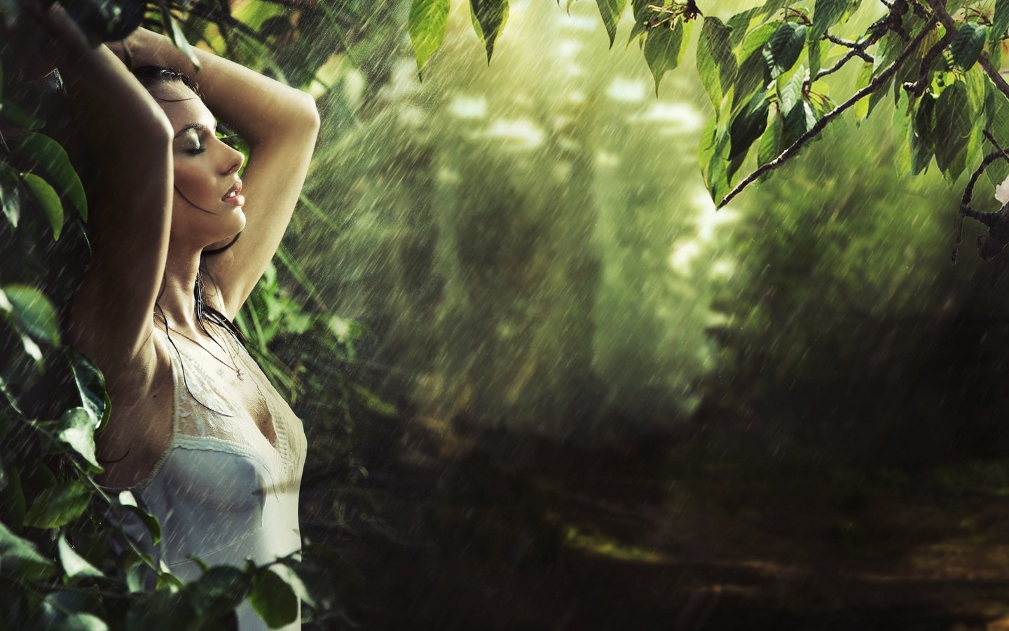 Обои лес, девушка, модель, дождь, мокрая, forest, girl, model, rain, wet разрешение 2880x1888 Загрузить