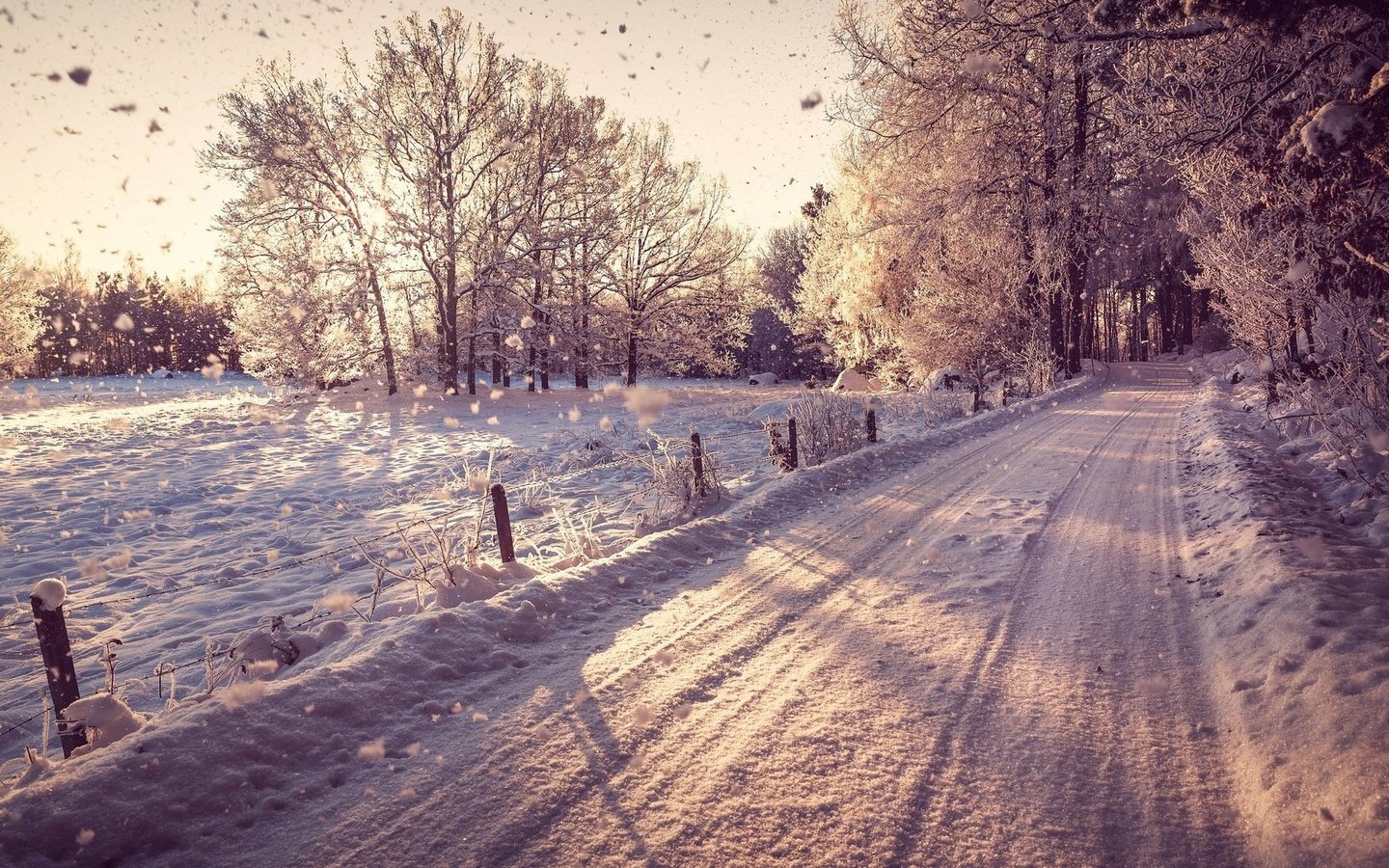 Обои дорога, снег, зима, road, snow, winter разрешение 1920x1200 Загрузить