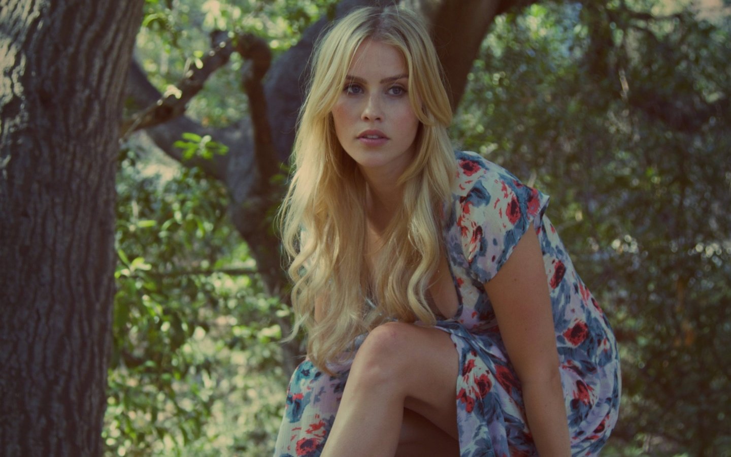 Обои блондинка, актриса, клер холт, клэр холт, blonde, actress, claire holt разрешение 2066x1441 Загрузить