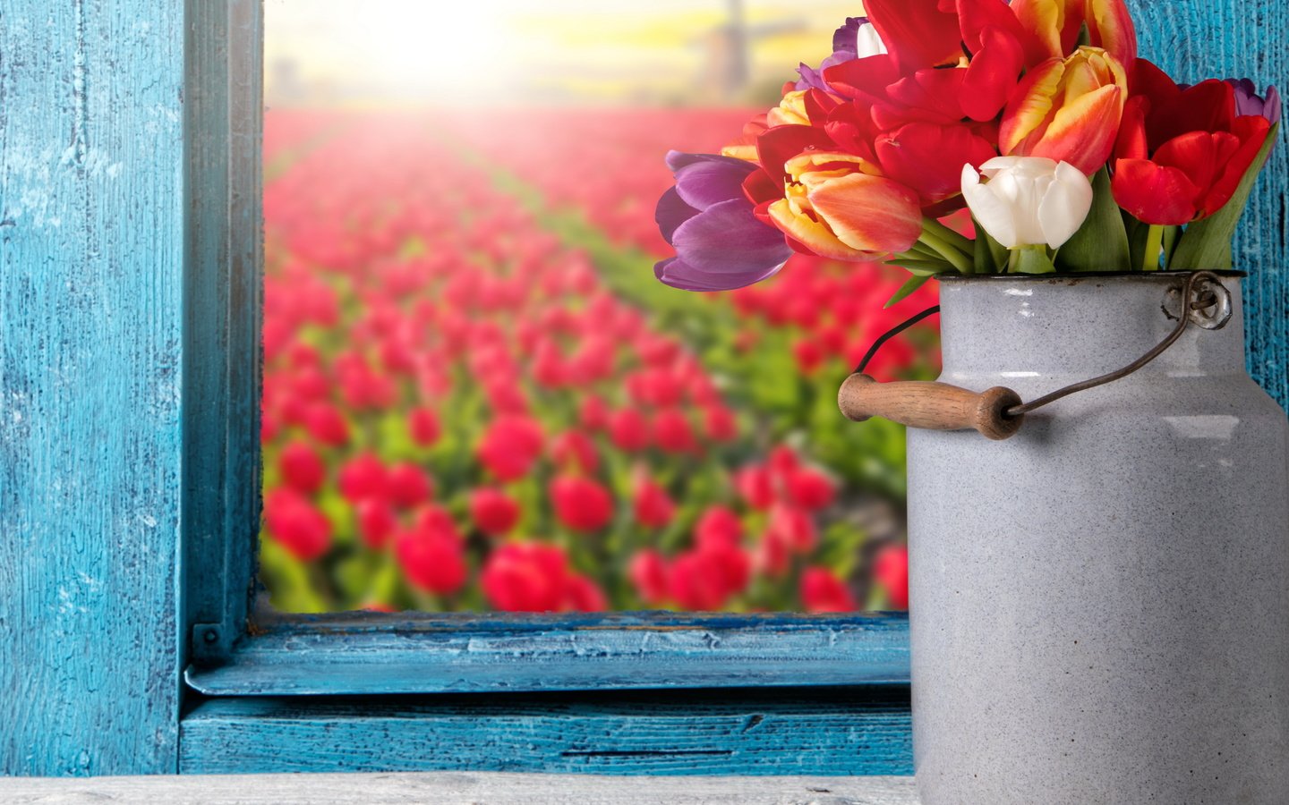 Обои цветы, букет, тюльпаны, окно, тульпаны,  цветы, бидон, красочная, flowers, bouquet, tulips, window, cans, colorful разрешение 4235x3200 Загрузить