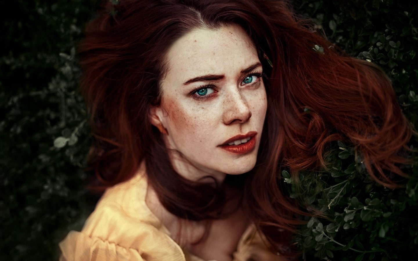 Обои глаза, девушка, фон, рыжая, волосы, лицо, eyes, girl, background, red, hair, face разрешение 2880x1920 Загрузить