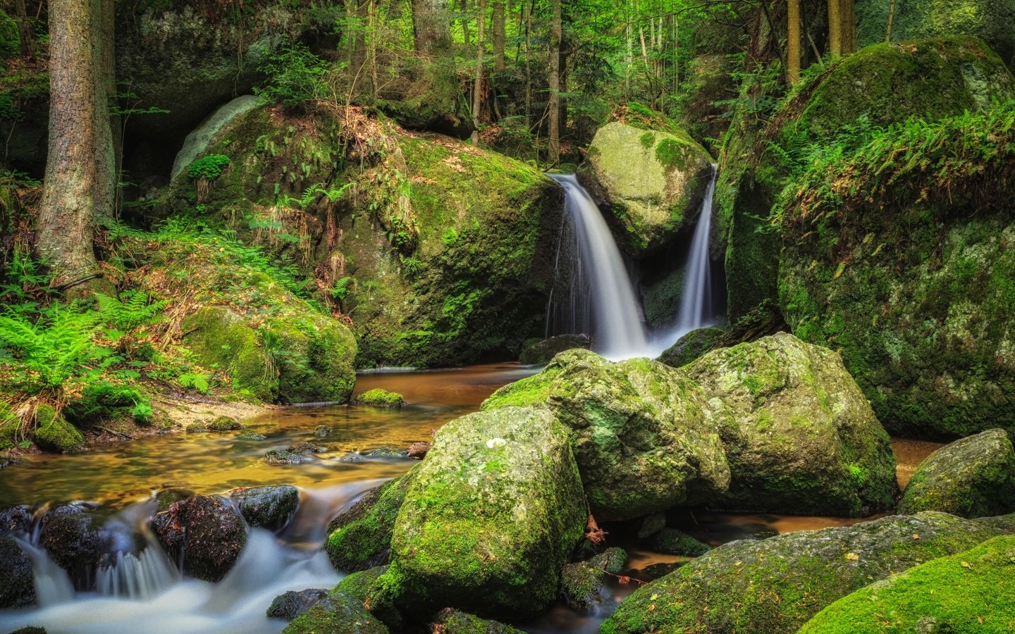 Обои вода, река, камни, лес, водопад, мох, water, river, stones, forest, waterfall, moss разрешение 3000x2000 Загрузить