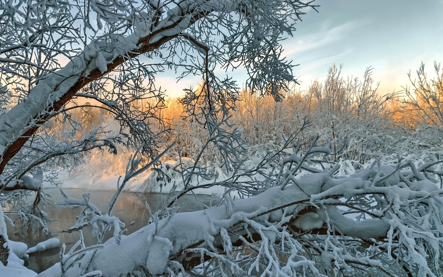 Обои деревья, река, снег, зима, ветки, trees, river, snow, winter, branches разрешение 1920x1285 Загрузить