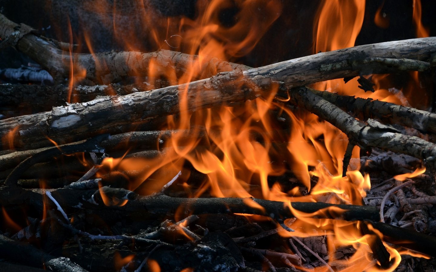 Обои огонь, костёр, хворост, fire, the fire, firewood разрешение 2400x1510 Загрузить