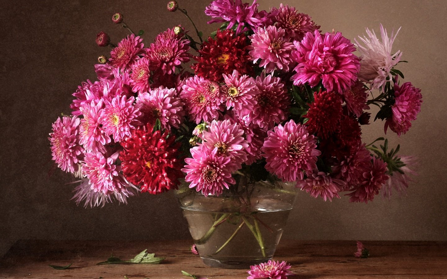 Обои осень, букет, хризантемы, autumn, bouquet, chrysanthemum разрешение 2200x1570 Загрузить