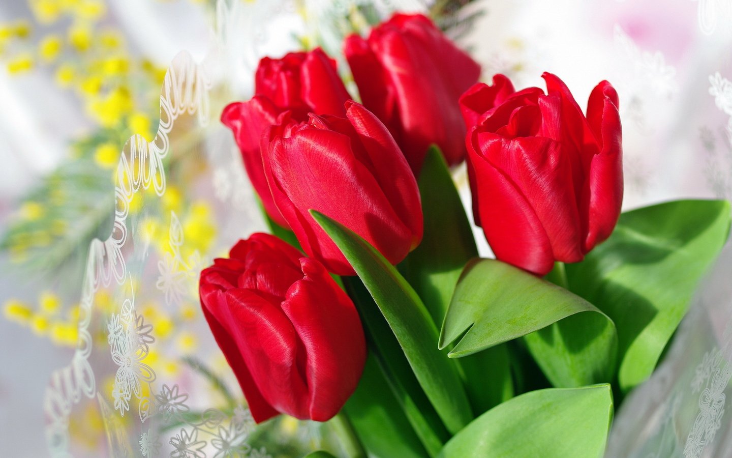 Обои цветы, бутоны, красные, тюльпаны, flowers, buds, red, tulips разрешение 2232x1484 Загрузить