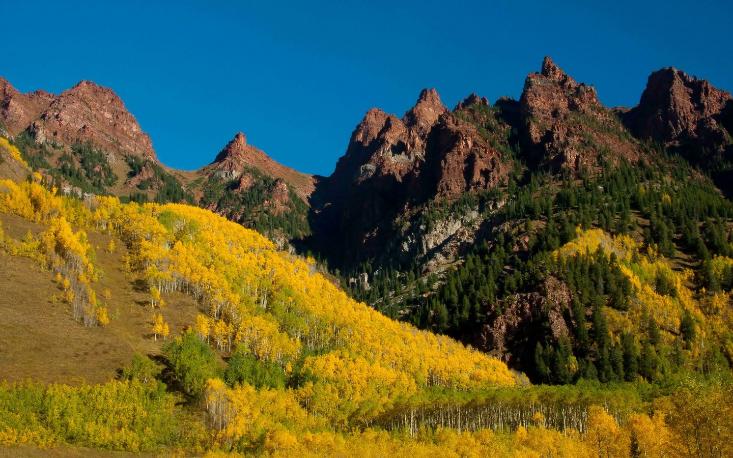 Обои деревья, горы, лес, желтые, колорадо, марун-беллс, trees, mountains, forest, yellow, colorado, maroon bells разрешение 2048x1365 Загрузить