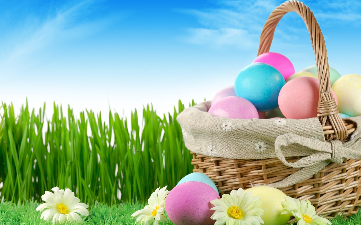 Обои небо, цветы, трава, природа, пасха, яйца, праздник, the sky, flowers, grass, nature, easter, eggs, holiday разрешение 5436x3673 Загрузить