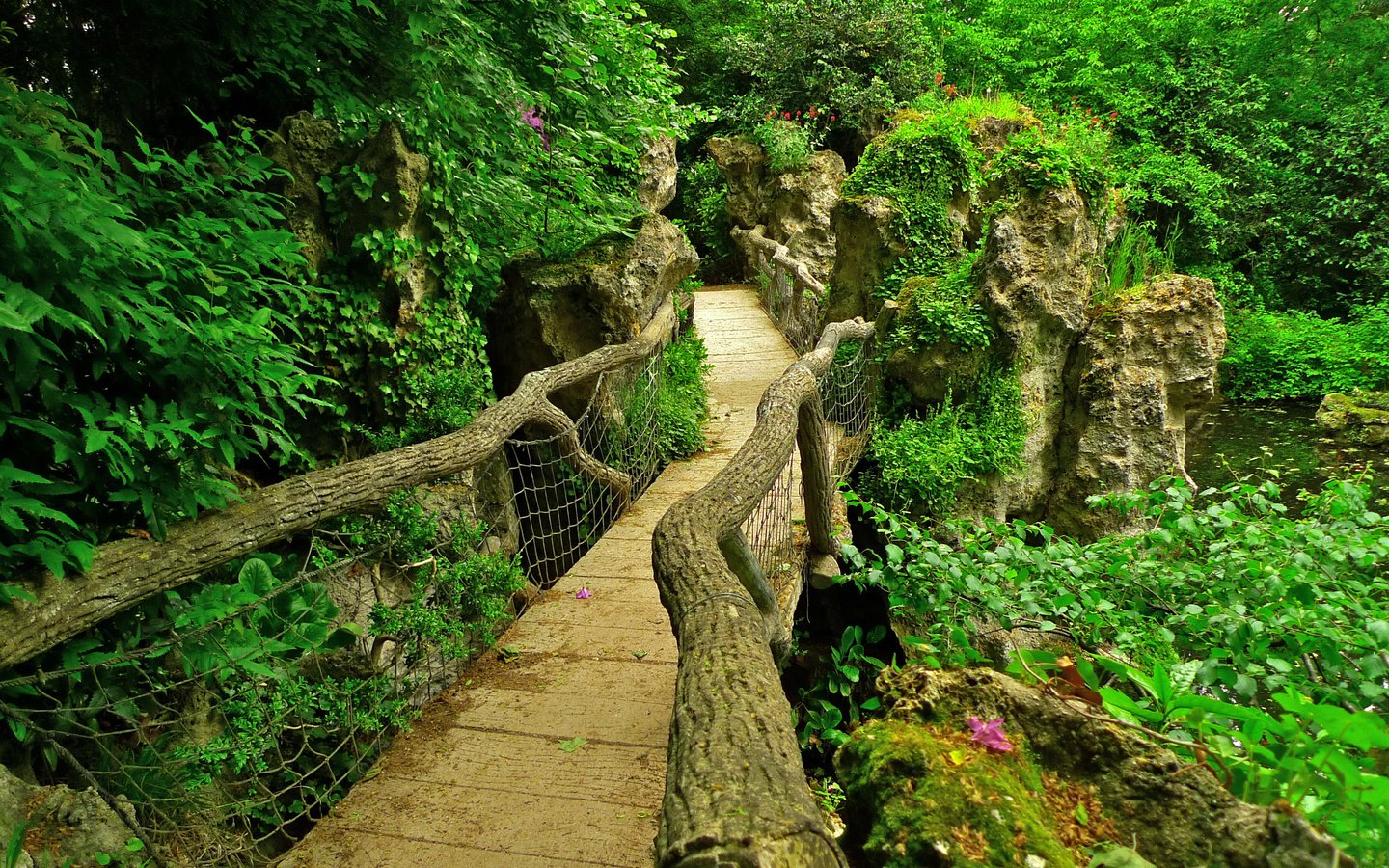 Обои камни, пруд, зелень, франция, листья, albert-kahn japanese gardens, ветки, кусты, мост, сад, париж, stones, pond, greens, france, leaves, branches, the bushes, bridge, garden, paris разрешение 2592x1944 Загрузить