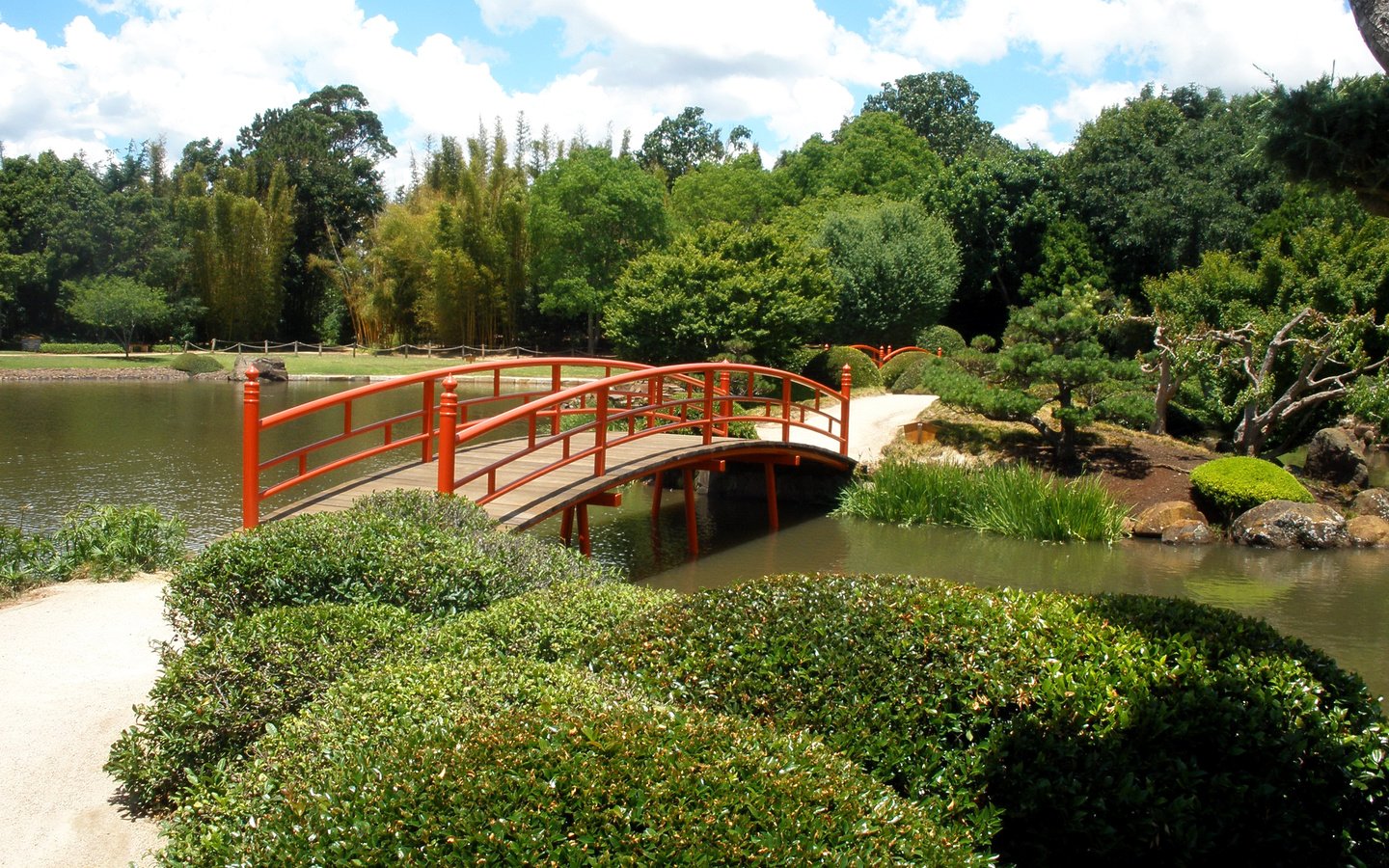 Обои деревья, парк, мост, пруд, австралия, japenese garden, toowoomba, trees, park, bridge, pond, australia разрешение 2400x1800 Загрузить