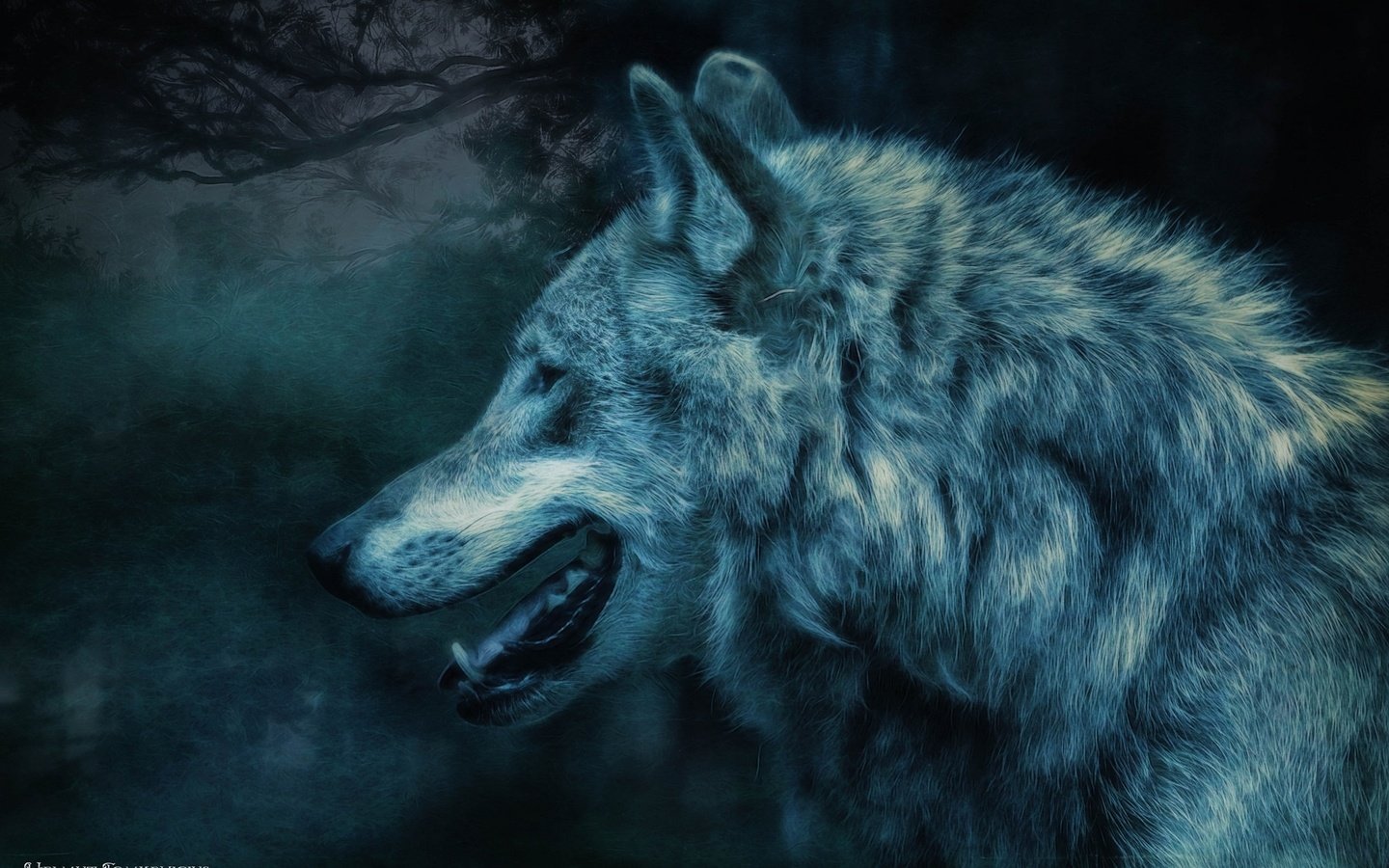 Обои ночь, лес, хищник, профиль, волк, night, forest, predator, profile, wolf разрешение 2048x1327 Загрузить