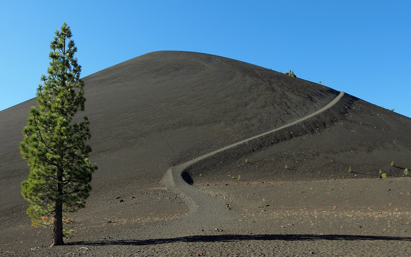 Обои дерево, утро, гора, lassen volcanic national park, ка­ли­фор­нийс­кая, tree, morning, mountain, california разрешение 3356x2237 Загрузить