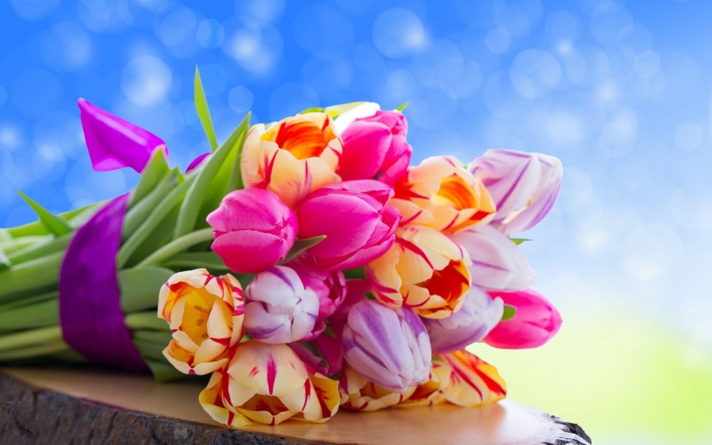 Обои цветы, букет, тюльпаны, flowers, bouquet, tulips разрешение 2560x1600 Загрузить