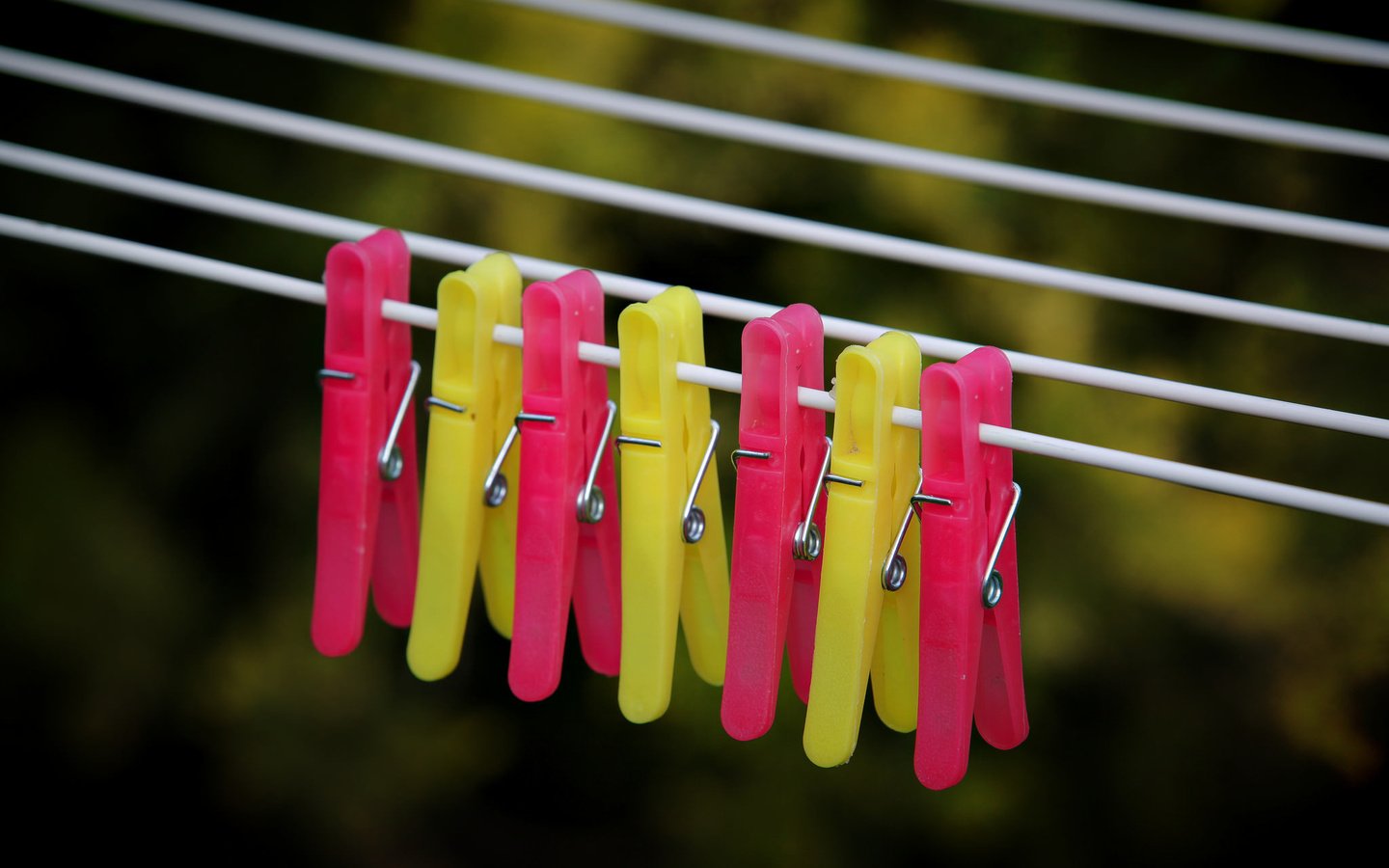 Обои макро, проволока, веревка, прищепки, laundry clips, macro, wire, rope, clothespins разрешение 2048x1304 Загрузить