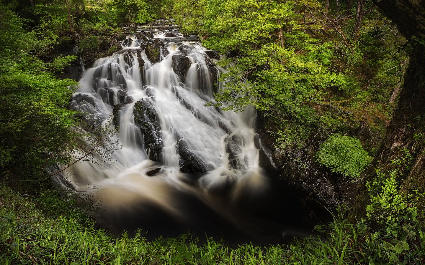 Обои водопад, англия, каскад, уэльс, swallow falls, betws-y-coed, бетус-и-коед, waterfall, england, cascade, wales, betws-y-and-coed разрешение 2048x1283 Загрузить