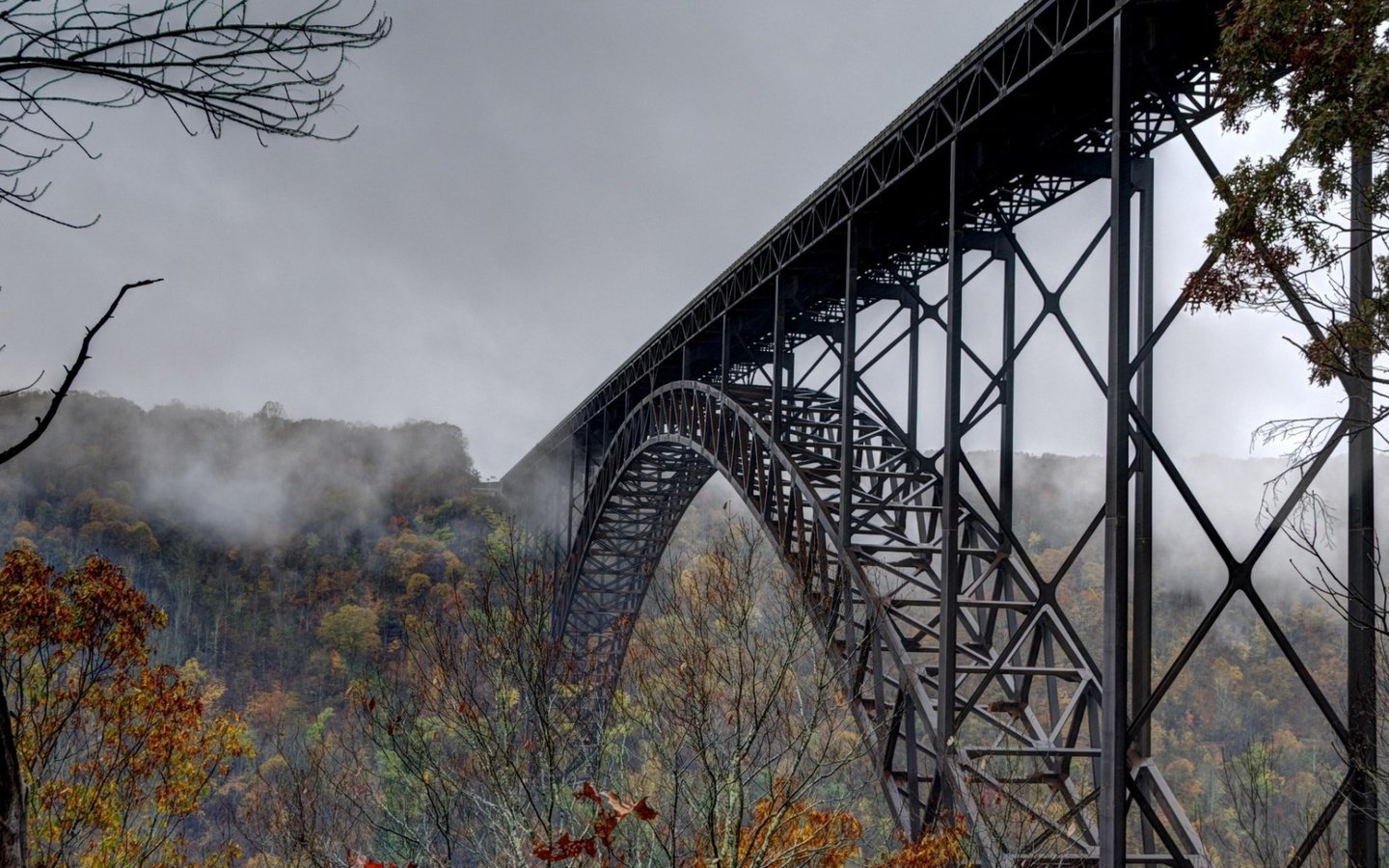 Обои деревья, лес, туман, мост, осень, trees, forest, fog, bridge, autumn разрешение 3840x2160 Загрузить