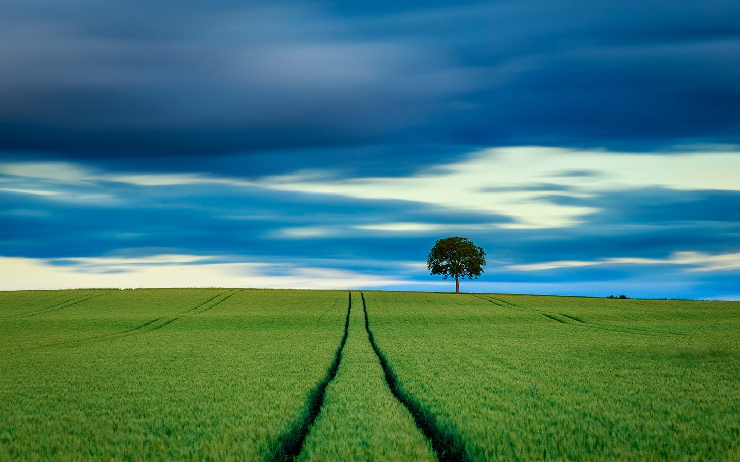 Обои небо, дерево, поле, горизонт, пшеница, the sky, tree, field, horizon, wheat разрешение 1920x1223 Загрузить