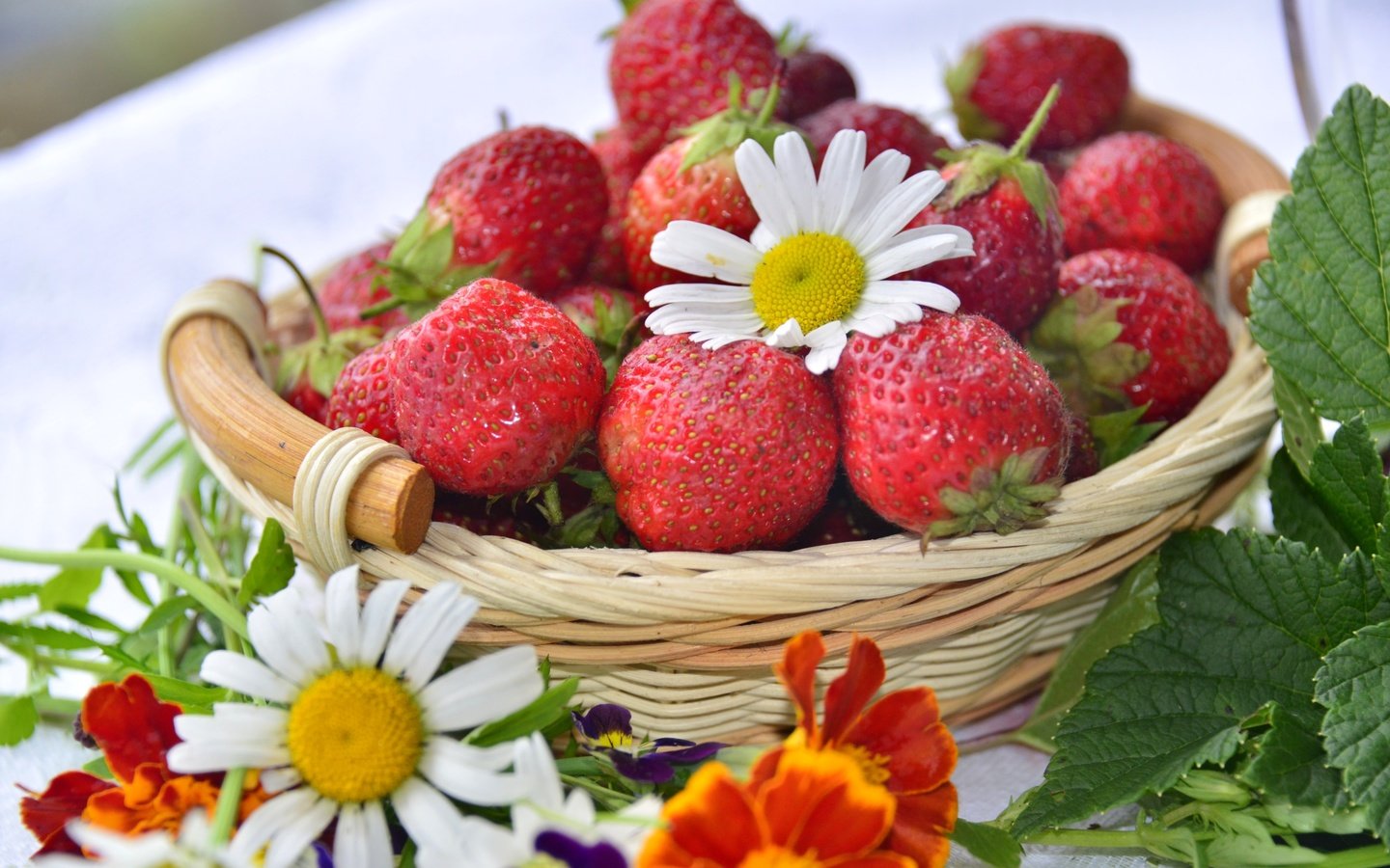 Обои клубника, ромашка, корзина, ягоды, бархатцы, strawberry, daisy, basket, berries, marigolds разрешение 3200x2045 Загрузить