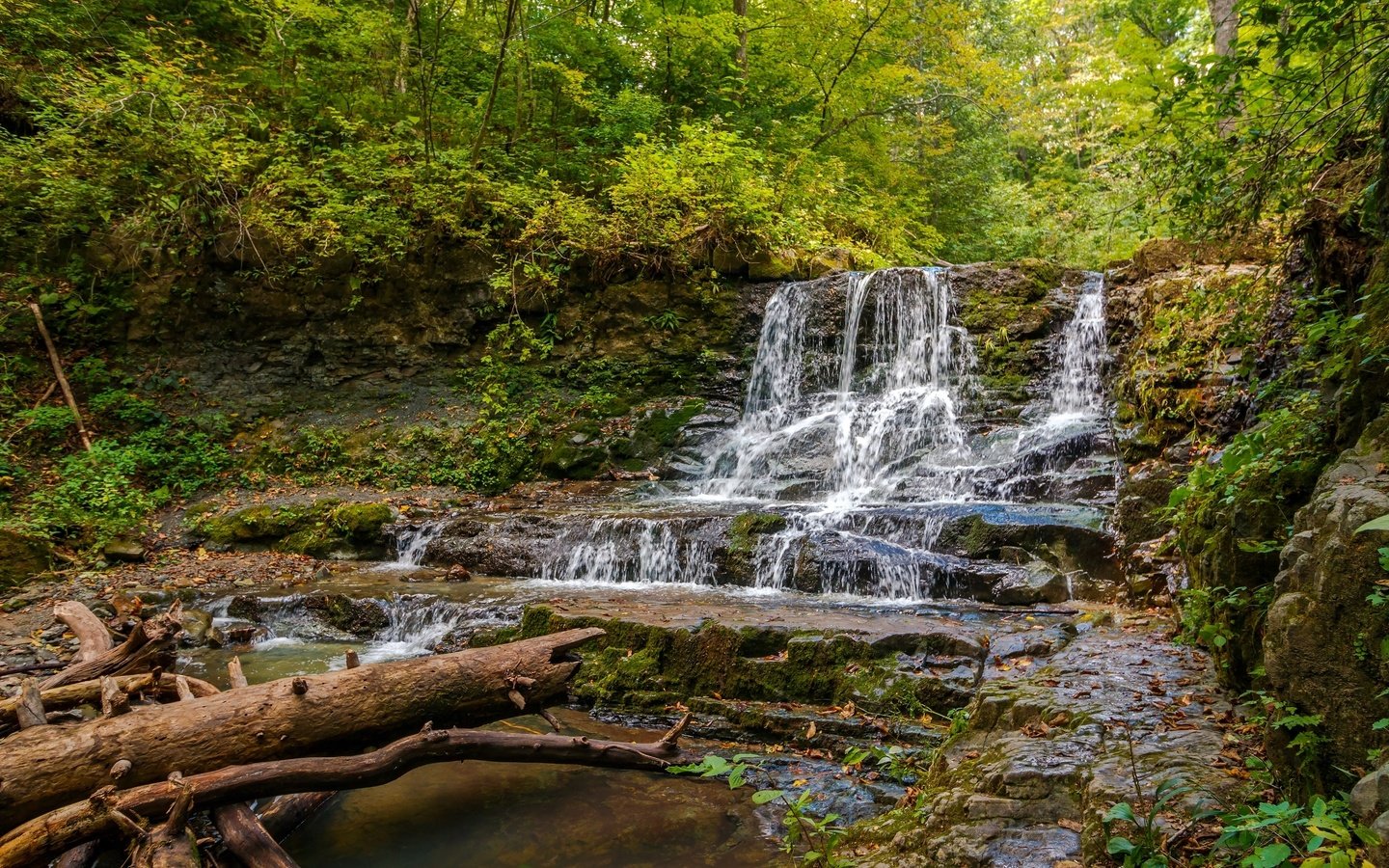 Обои деревья, вода, река, камни, лес, поток, берег реки, trees, water, river, stones, forest, stream, the river разрешение 2400x1540 Загрузить