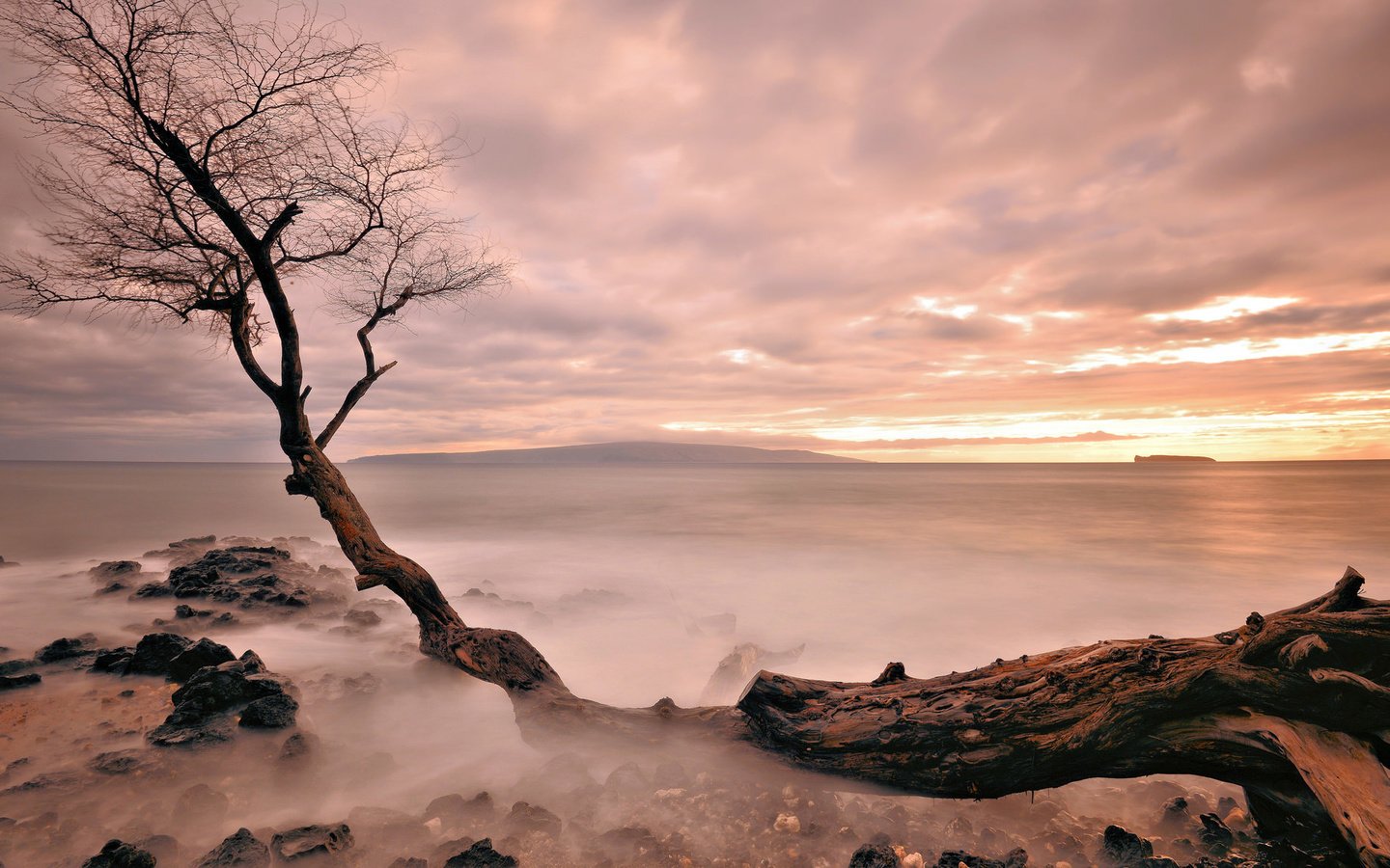 Обои вечер, дерево, закат, море, туман, горизонт, the evening, tree, sunset, sea, fog, horizon разрешение 2048x1152 Загрузить